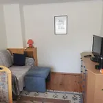 公寓 Haus Am Bach 蒂罗尔-基希贝格